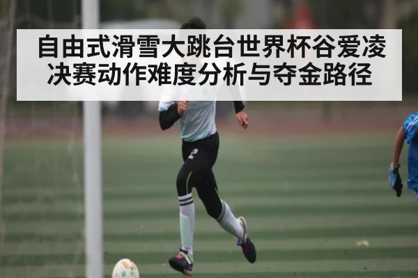 自由式滑雪大跳台世界杯谷爱凌决赛动作难度分析与夺金路径